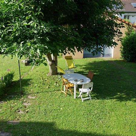 La Maison De Vacances De Colmar Et Son Jardin Buitenkant foto
