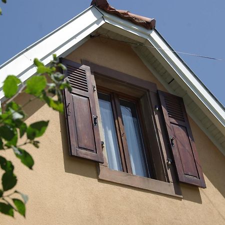 La Maison De Vacances De Colmar Et Son Jardin Buitenkant foto