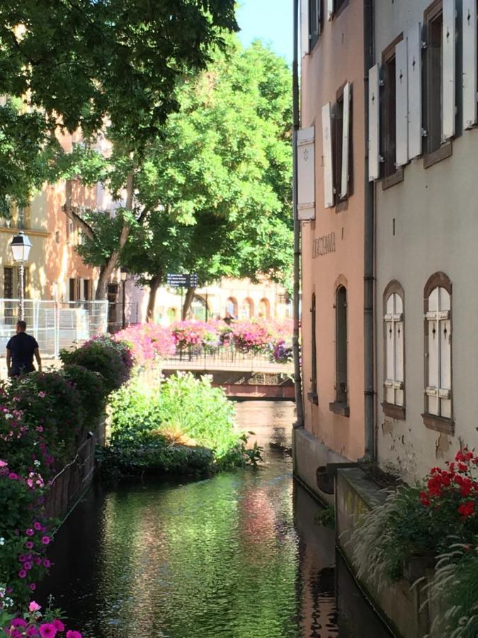 La Maison De Vacances De Colmar Et Son Jardin Buitenkant foto