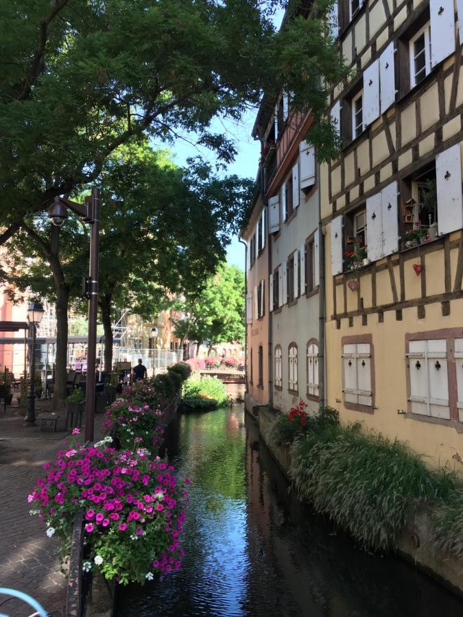 La Maison De Vacances De Colmar Et Son Jardin Buitenkant foto