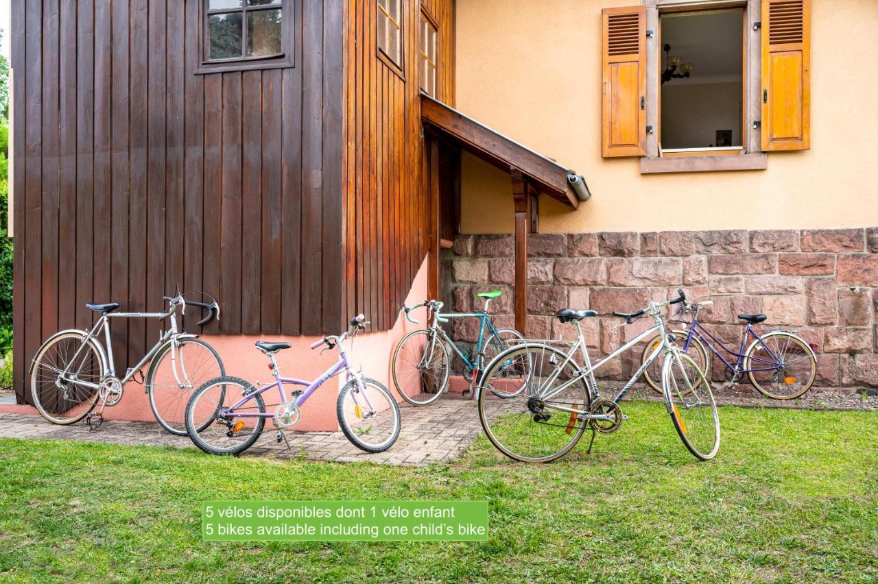 La Maison De Vacances De Colmar Et Son Jardin Buitenkant foto
