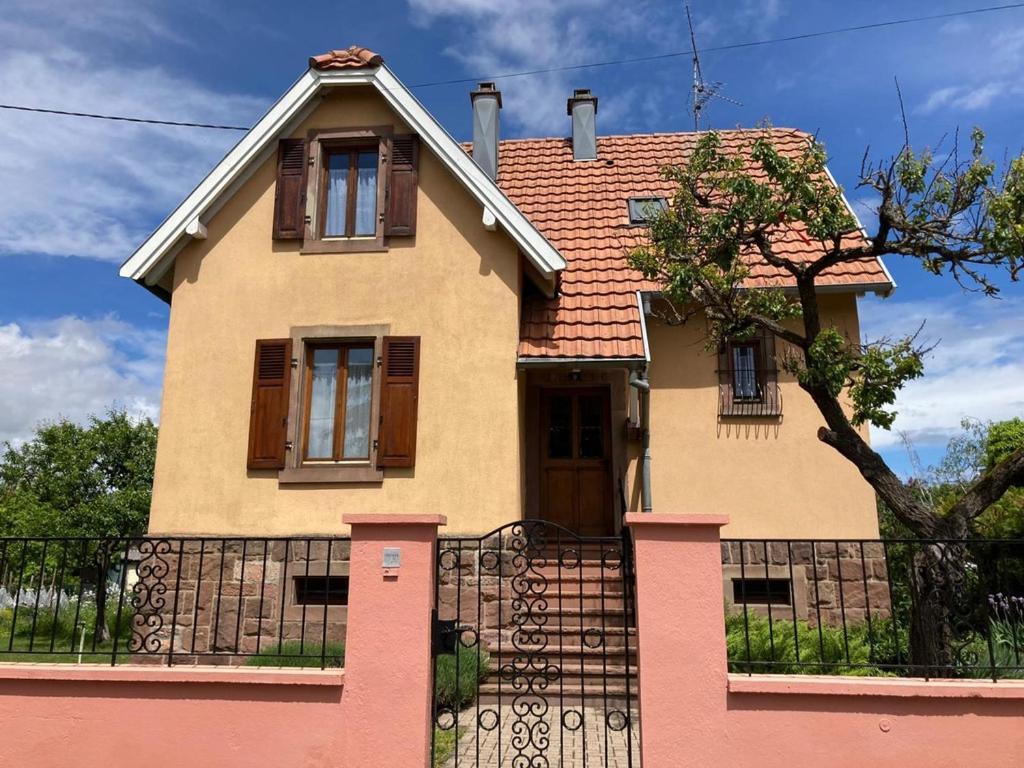 La Maison De Vacances De Colmar Et Son Jardin Buitenkant foto